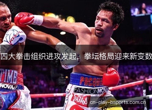 四大拳击组织进攻发起,拳坛格局迎来新变数 四大拳击组织进攻发起,拳坛格局迎来新变数